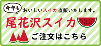 尾花沢スイカ