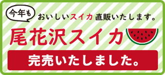 尾花沢スイカ ご注文はこちら